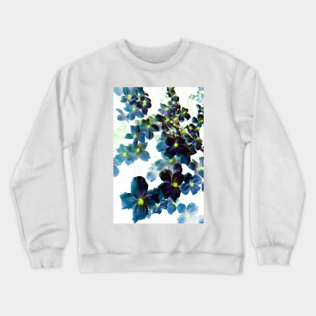 Designer 103365 x12 Crewneck Sweatshirt by CGJohnson